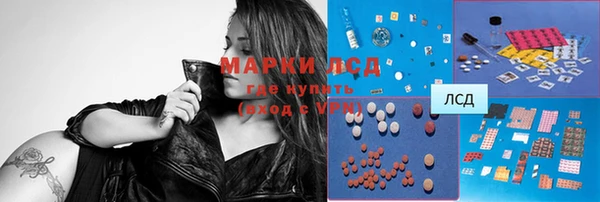 ГАЛЛЮЦИНОГЕННЫЕ ГРИБЫ Алексин