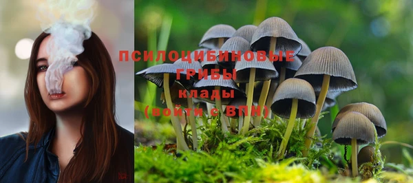 ГАЛЛЮЦИНОГЕННЫЕ ГРИБЫ Алексин